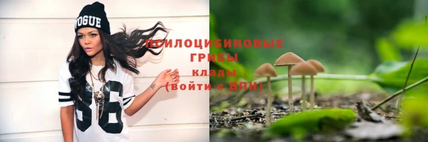 твердый Балахна