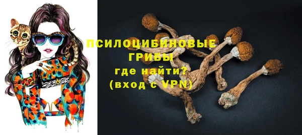 спайс Арсеньев