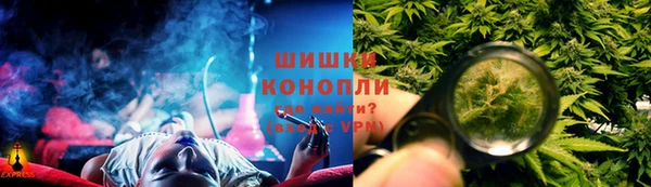 хмурый Няндома