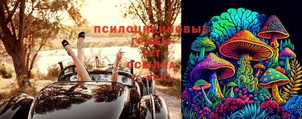 jwh Аркадак
