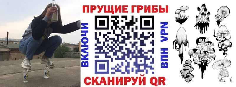 Галлюциногенные грибы Psilocybine cubensis  Лакинск 